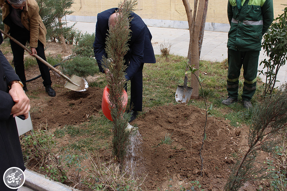 کاشت نهال به مناسبت روز درختکاري و سالروز تاسيس کانونهاي فرهنگي هنري مساجد